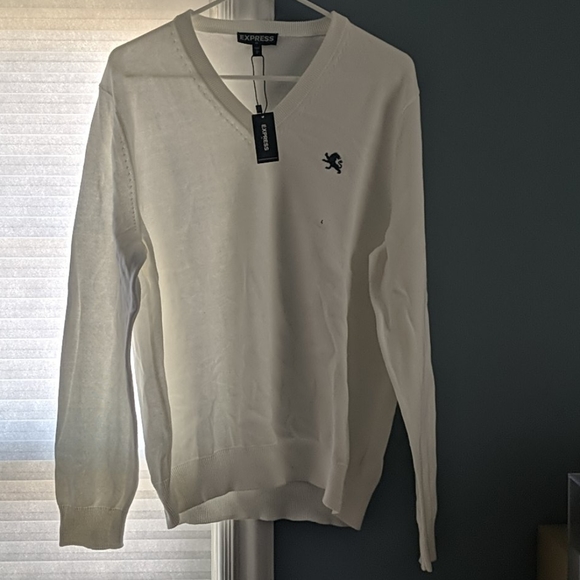 NWT white  Express v neck sweater - Picture 1 of 3